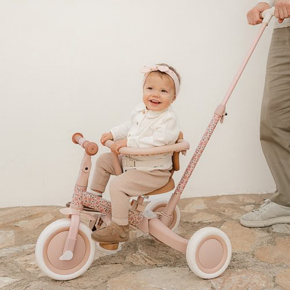 Little Dutch Tricycle With Push Bar
