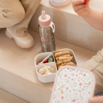 Little Dutch Lunch Box Campus