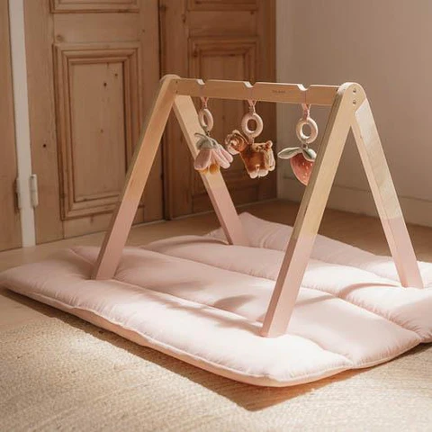 Little Dutch Baby Gym