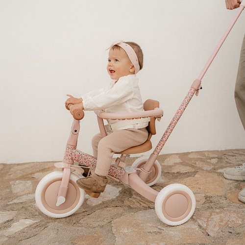 Little Dutch Tricycle With Push Bar