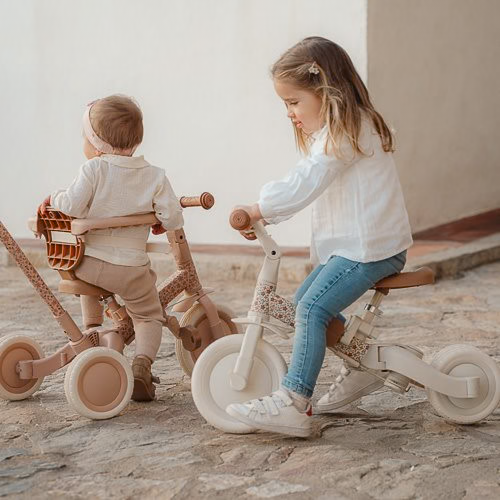 Little Dutch Tricycle With Push Bar