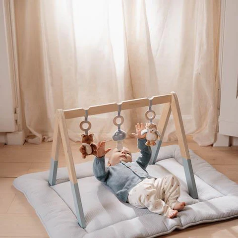 Little Dutch Baby Gym