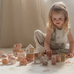 Little Dutch Building Blocks