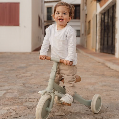 Little Dutch Tricycle With Push Bar