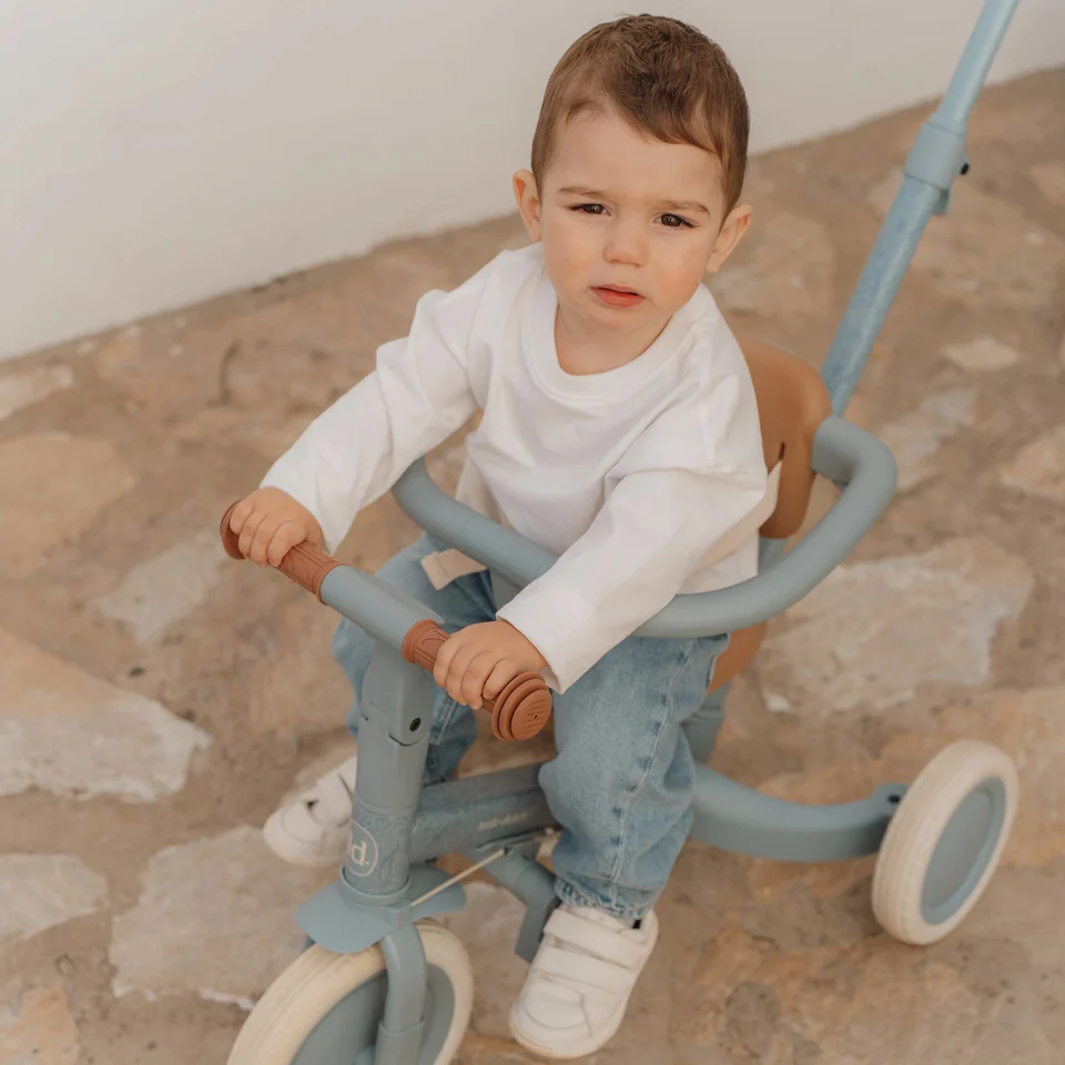 Little Dutch Tricycle With Push Bar
