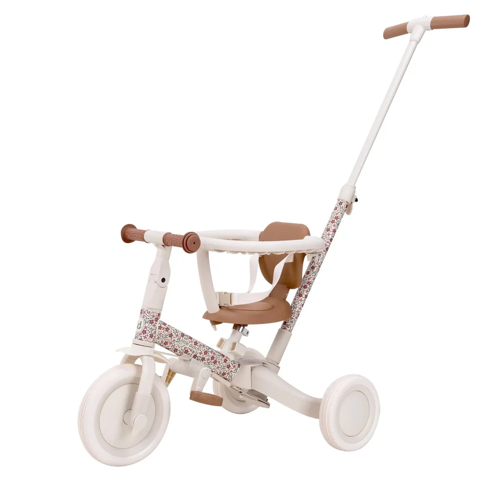 Little Dutch Tricycle With Push Bar