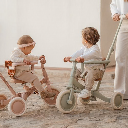 Little Dutch Tricycle With Push Bar