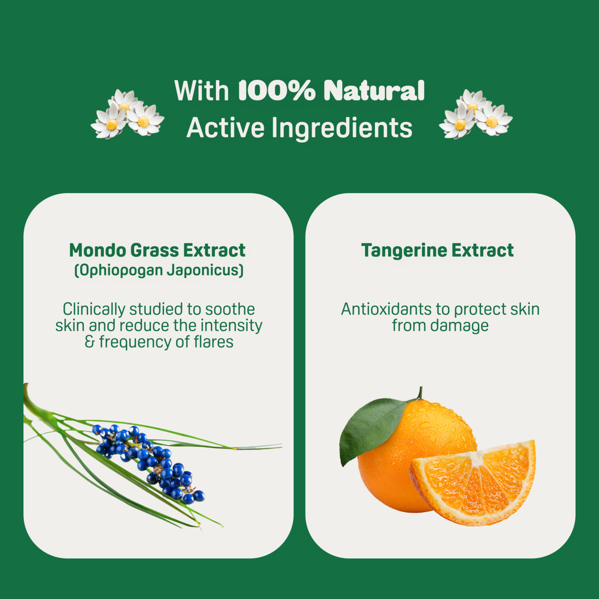 Pigeon Natural Botanical Baby Diaper Cream 50ml